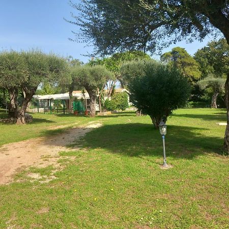 Katia Cottage Kassiopi Buitenkant foto